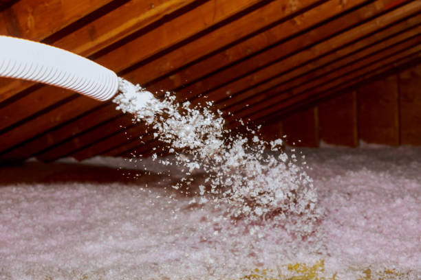 Best Soundproof Insulation Installation  in Valenti, NE