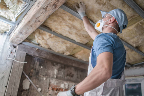 Best Wall Insulation Contractor  in Valenti, NE