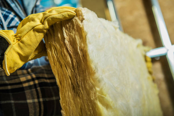 Best Blown-in Insulation  in Valenti, NE