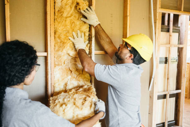 Best Affordable Insulation Services  in Valenti, NE