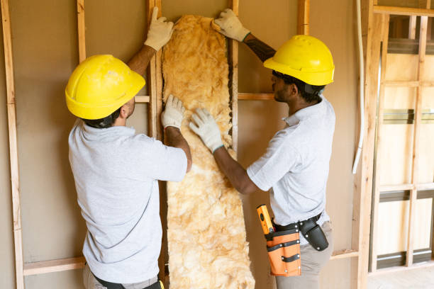Best Insulation Repair Services  in Valenti, NE