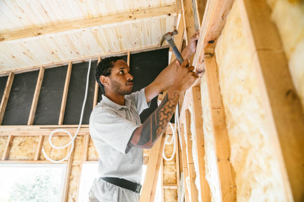 Best Insulation Contractors for Homes  in Valenti, NE