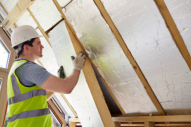 Best Garage Insulation Installation  in Valenti, NE